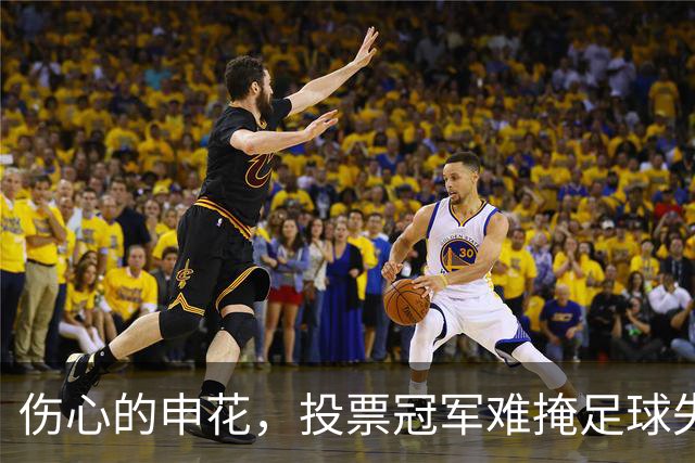 伤心的申花，投票冠军难掩足球失利的尴尬